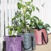 Reinforced Colorful Grow Bags -Garden Decor Store 8600229 19957 tif