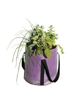 Reinforced Colorful Grow Bags -Garden Decor Store 8600230 0948 tif