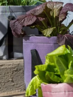 Reinforced Colorful Grow Bags -Garden Decor Store 8600230 20013 tif