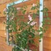 Ina Modern Wall Trellis Jr. -Garden Decor Store 8600512 07V tif