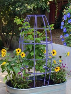 Toki Bubble Trellis -Garden Decor Store 8600520 02V tif