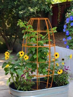 Toki Bubble Trellis -Garden Decor Store 8600520 03V tif
