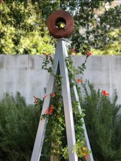 Bird Cafe + Akoris Garden Tuteur Sr. -Garden Decor Store 8600525 07v 1