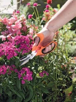 Gardener's Multi Purpose Scissors 8 Gardener's Multi Purpose Scissors -Garden Decor Store 8608655 19551 tif