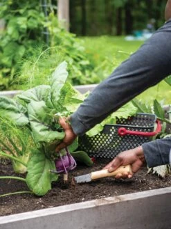 Gardener's Lifetime Hori Hori Knife -Garden Decor Store 8608888 0422 tif