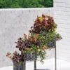 Galvanized Grow Bag Triple Planters With Stand -Garden Decor Store 8609180 0346 tif