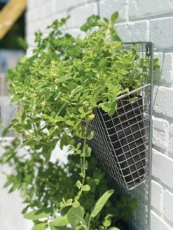 Wire Wall Pockets Vertical Gardens -Garden Decor Store 8609429 9500 tif