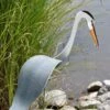 Florida Dancing Birds®, Great Blue Heron -Garden Decor Store 8609451 02V jpg