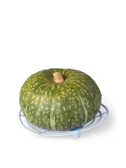 Melon And Squash Cradles, Set Of 6 -Garden Decor Store 8609464 5204 tif