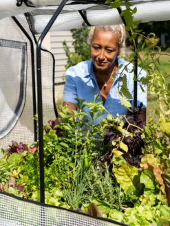 VegTrug®Patio Garden Greenhouse Cover Kit -Garden Decor Store 8610172 1256