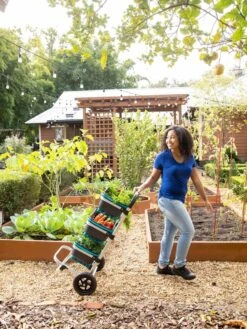 Mod Hod Trolley With Teal Mod Hods -Garden Decor Store 8610240 0070 tif