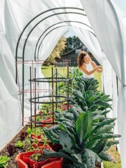 Maxi Garden Hoops With Clips -Garden Decor Store 8610373 377 tif