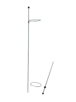 Peacock Mini Plant Support Rings 4", Set Of 2 -Garden Decor Store 8610386 9566