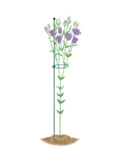 Peacock Mini Plant Support Rings 4", Set Of 2 -Garden Decor Store 8610386 peacock4x36