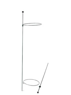 Peacock Mini Plant Support Rings 8", Set Of 2 -Garden Decor Store 8610388 9565 tif