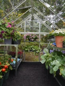 Canopia® By Palram Harmony™ Greenhouse, 6' X 14' 13 Canopia® By Palram Harmony™ Greenhouse, 6' X 14' -Garden Decor Store 8610563 03V jpg
