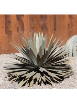 Desert Steel Yucca Plant Sculpture 9 Desert Steel Yucca Plant Sculpture -Garden Decor Store 8610744 02v