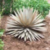 Desert Steel Yucca Plant Sculpture -Garden Decor Store 8610744 03v desert steel yucca plant