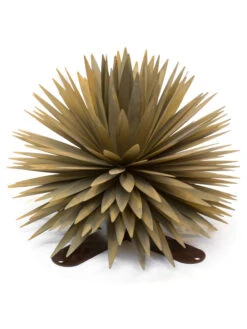 Desert Steel Yucca Plant Sculpture 11 Desert Steel Yucca Plant Sculpture -Garden Decor Store 8610744 05v
