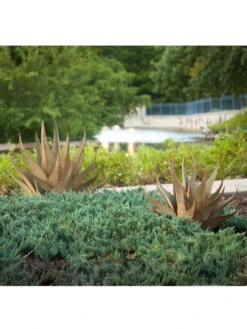 Desert Steel Sharkskin Agave Sculpture -Garden Decor Store 8610753 05v