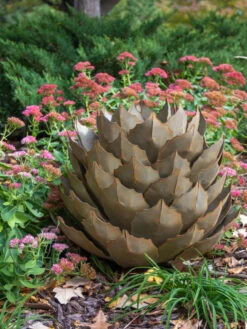 Desert Steel Artichoke Agave Sculpture -Garden Decor Store 8610761 03v