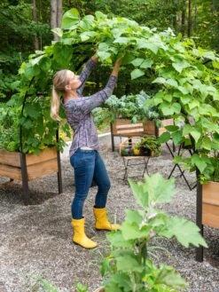 2’ X 8’ Arch Trellis For Planter Boxes -Garden Decor Store 8610798 050 tif