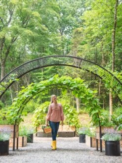 2’ X 8’ Arch Trellis For Planter Boxes -Garden Decor Store 8610798 071 tif