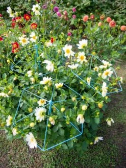 New Arrival -Garden Decor Store 8611129 004 tif