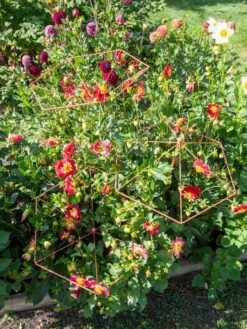 Parasol Plant Supports, Set Of 3 13 Parasol Plant Supports, Set Of 3 -Garden Decor Store 8611129 050 tif