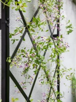 Lattice Gable Wall Trellis -Garden Decor Store 8611130 011