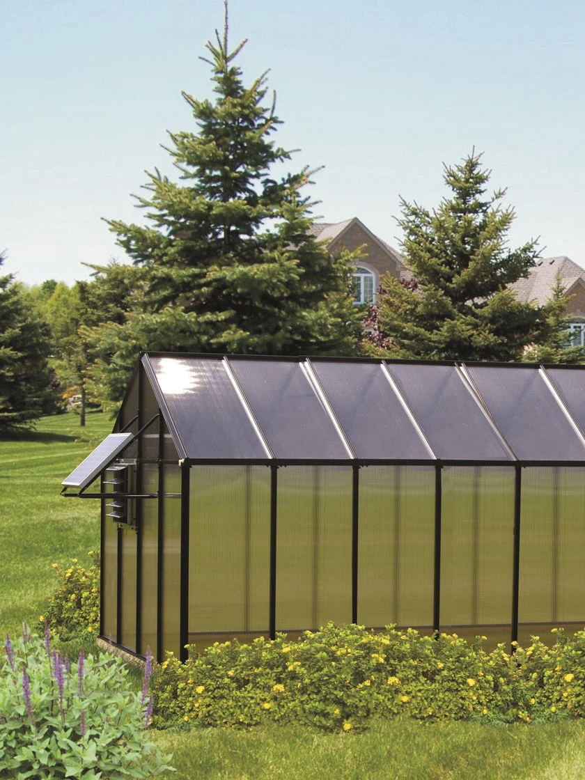 MONT Mojave Greenhouse, 8' X 20' 3 MONT Mojave Greenhouse, 8' X 20'