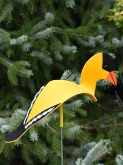 Florida Dancing Birds®, Songbirds -Garden Decor Store 8611629 04v