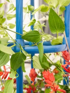 Fleur De Lis Obelisk, 67" -Garden Decor Store 8611663 0607 tif