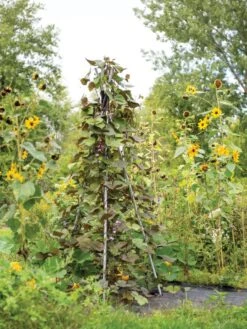 DIY Connector For Teepee Trellis -Garden Decor Store 8611896 062 tif