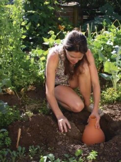 Hydro Max Watering System -Garden Decor Store 8611967 15V tif