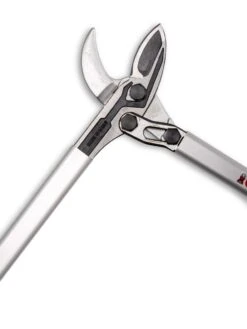 Castellari Long-Handled Anvil Lopper -Garden Decor Store 8611970 007 tif