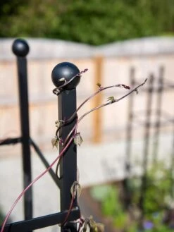 Essex Square Obelisk -Garden Decor Store 8611984 278 tif