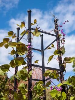 Essex Square Obelisk -Garden Decor Store 8611984 354 tif