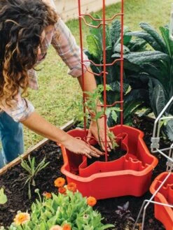 Deluxe Tomato Halos, Set Of 2 -Garden Decor Store 8612045 135 tif