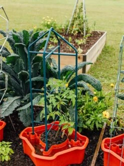 Deluxe Tomato Halos, Set Of 2 -Garden Decor Store 8612045 221 tif