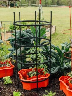 Deluxe Tomato Halos, Set Of 2 -Garden Decor Store 8612045 228 tif