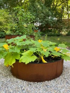 Birdies™ Corten Steel Round Raised Beds -Garden Decor Store 8612422 0484 tif