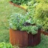 Birdies™ Corten Steel Round Raised Beds -Garden Decor Store 8612423 1537 tif