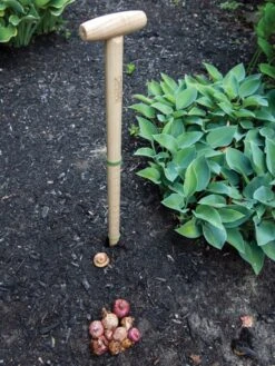 Wicked Big Dibber -Garden Decor Store 8612667 0028