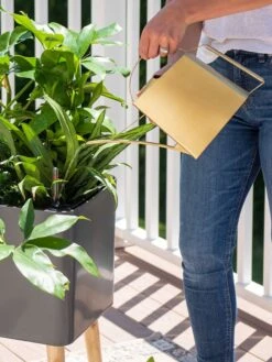 Precision Brass Watering Can -Garden Decor Store 8612691 0011