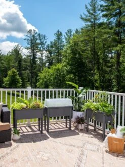 Self-Watering Standing Salad Planter With Cloche -Garden Decor Store 8612702 2002 tif