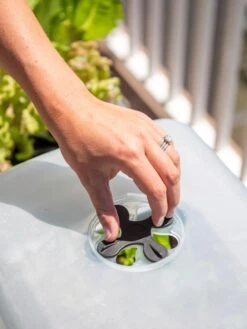 Self-Watering Standing Salad Planter With Cloche -Garden Decor Store 8612702 2034 tif