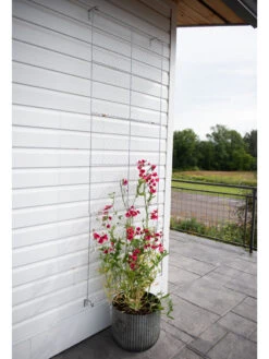 Chicken Wire Wall Trellis -Garden Decor Store 8612717 0081