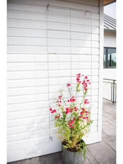 Chicken Wire Wall Trellis -Garden Decor Store 8612717 0093