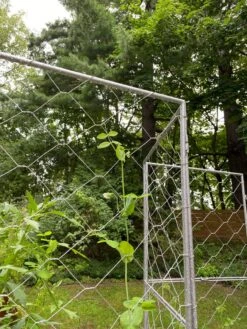 Chicken Wire Pea Trellis -Garden Decor Store 8612718 7302